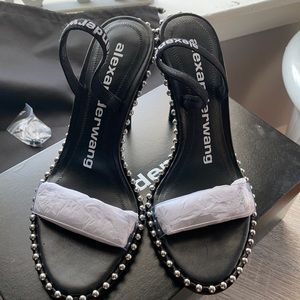 Alexanderwang black heels with clear strap